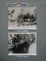 藏品(三蘇祠內之瑞蓮亭)的圖片